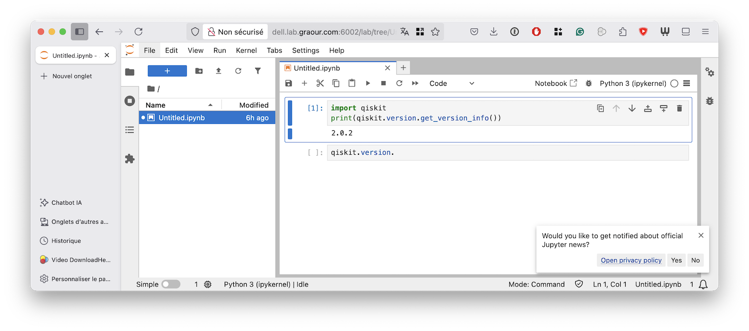 Jupyter lab